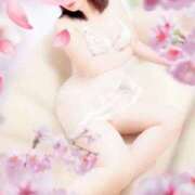 ヒメ日記 2026/02/11 20:11 投稿 鈴原ゆずな こあくまな熟女たち 広島店（KOAKUMAグループ）