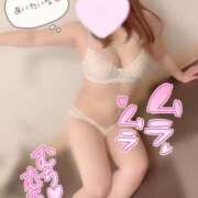 ヒメ日記 2024/12/12 11:01 投稿 みなみ 山梨甲府甲斐ちゃんこ