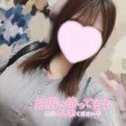 ヒメ日記 2025/02/09 15:02 投稿 みなみ 山梨甲府甲斐ちゃんこ