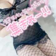 ヒメ日記 2025/03/13 17:01 投稿 みなみ 山梨甲府甲斐ちゃんこ