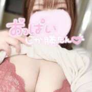 ヒメ日記 2025/03/19 12:33 投稿 みなみ 山梨甲府甲斐ちゃんこ