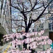 ヒメ日記 2025/04/07 17:10 投稿 みお Cocoon(コクーン)