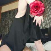 ヒメ日記 2024/12/21 13:30 投稿 柿本 晴美 イケない女教師 大阪店