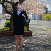 ヒメ日記 2025/03/29 09:00 投稿 柿本 晴美 イケない女教師 大阪店