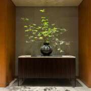 ヒメ日記 2025/04/20 11:10 投稿 皇ゆず 風神会館新宿店