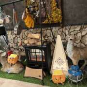 ヒメ日記 2025/11/02 18:25 投稿 皇ゆず 風神会館新宿店