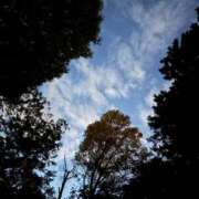 ヒメ日記 2025/11/11 17:17 投稿 皇ゆず 風神会館新宿店