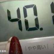 ヒメ日記 2025/12/02 08:49 投稿 皇ゆず 風神会館新宿店