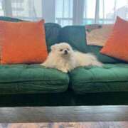 ヒメ日記 2025/05/05 17:40 投稿 花瀬　れお RED BERYL～レッドベリル～