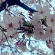 ヒメ日記 2025/04/09 11:51 投稿 天海キララ 池袋3P複数プレイ専門店 ハーレム