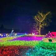 天海キララ イルミネーション 池袋3P複数プレイ専門店 ハーレム