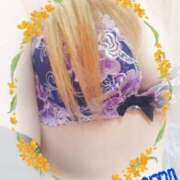 ヒメ日記 2024/12/11 18:09 投稿 いずみ 熟女総本店 堺東店