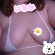 いちか 今日は白〜♡ G-SCANDAL