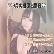 ヒメ日記 2025/09/13 12:03 投稿 りさ 奈良橿原大和高田ちゃんこ