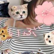 ヒメ日記 2024/12/27 18:53 投稿 いぶ 千葉人妻花壇