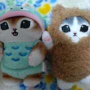 ヒメ日記 2025/01/20 01:13 投稿 いぶ 千葉人妻花壇