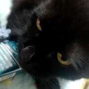 いぶ 生きてます 千葉人妻花壇