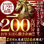 ヒメ日記 2026/01/05 09:32 投稿 ゆみ 千葉人妻花壇