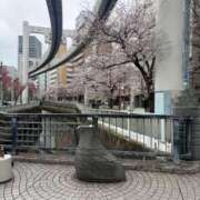 ヒメ日記 2026/04/02 10:24 投稿 ゆみ 千葉人妻花壇