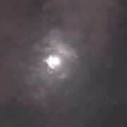 ヒメ日記 2024/12/19 02:59 投稿 みどり 千葉人妻花壇