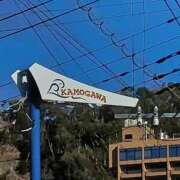 ヒメ日記 2025/01/10 00:02 投稿 みどり 千葉人妻花壇