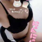 ヒメ日記 2025/02/22 23:44 投稿 みどり 千葉人妻花壇