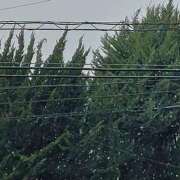 ヒメ日記 2025/03/04 18:32 投稿 みどり 千葉人妻花壇