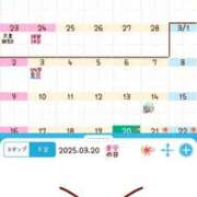 ヒメ日記 2025/03/20 22:29 投稿 みどり 千葉人妻花壇