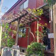 ヒメ日記 2025/04/05 23:04 投稿 みどり 千葉人妻花壇