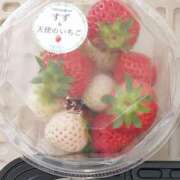 ヒメ日記 2025/04/25 23:28 投稿 みどり 千葉人妻花壇