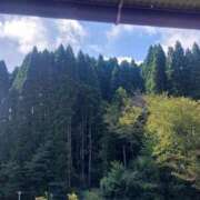 ヒメ日記 2025/09/20 22:55 投稿 みどり 千葉人妻花壇