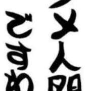 ヒメ日記 2025/10/09 23:56 投稿 みどり 千葉人妻花壇
