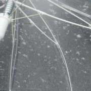 ヒメ日記 2026/02/07 23:27 投稿 みどり 千葉人妻花壇