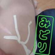 ヒメ日記 2026/03/09 23:50 投稿 みどり 千葉人妻花壇