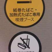 ヒメ日記 2026/04/13 21:53 投稿 みどり 千葉人妻花壇