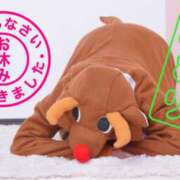 ヒメ日記 2026/07/20 18:49 投稿 みどり 千葉人妻花壇