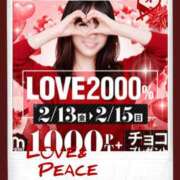 ヒメ日記 2026/02/14 10:43 投稿 ふじこ 千葉人妻花壇