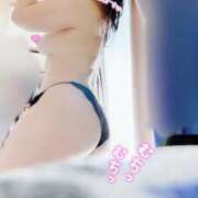 ヒメ日記 2024/12/19 08:01 投稿 はる 千葉人妻花壇