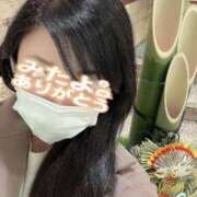 ヒメ日記 2024/12/29 17:49 投稿 はる 千葉人妻花壇