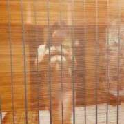 ヒメ日記 2024/12/31 09:45 投稿 はる 千葉人妻花壇