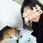 ヒメ日記 2025/01/17 10:36 投稿 はる 千葉人妻花壇