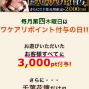 ヒメ日記 2025/01/23 10:04 投稿 はる 千葉人妻花壇