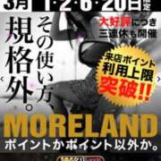 ヒメ日記 2025/02/28 08:25 投稿 はる 千葉人妻花壇