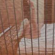 ヒメ日記 2025/02/28 16:03 投稿 はる 千葉人妻花壇