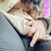 ヒメ日記 2025/03/04 09:15 投稿 はる 千葉人妻花壇