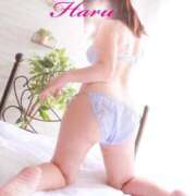 ヒメ日記 2025/03/16 08:03 投稿 はる 千葉人妻花壇