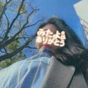 ヒメ日記 2025/04/06 15:42 投稿 はる 千葉人妻花壇