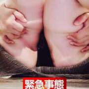 ヒメ日記 2025/05/31 07:31 投稿 はる 千葉人妻花壇