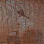 ヒメ日記 2025/09/12 23:49 投稿 はる 千葉人妻花壇