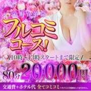 ヒメ日記 2026/05/14 09:49 投稿 はる 千葉人妻花壇